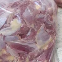 گوشت بوقلمون بدون استخوان