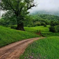 راهنمای خرید