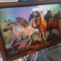 تابلو|تابلو، نقاشی، عکس|شاهین‌شهر, شهرک گلدیس|دیوار