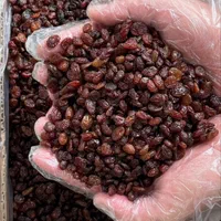 مویز،کشمش،شیره انگور (عمده خرده)|خوردنی و آشامیدنی|بوشهر, |دیوار