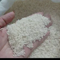 برنج درجه یک هاشمی