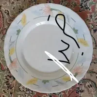 پیش دستی