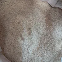 برنج پاکستانی تنظیم بازار کالابرگ
