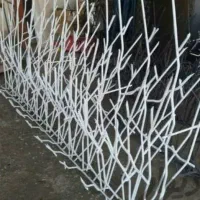 حفاظ شاخ گوزنی سهیلیه تهراندشت هشتگرد کرج|خدمات پیشه و مهارت|هشتگرد, هشتگرد قدیم|دیوار