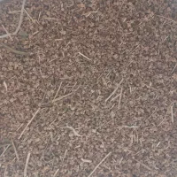 بذر چغندر رسمی و قندی