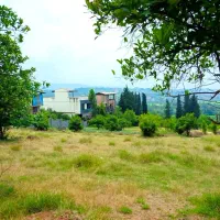 زمین مسکونی ۴۵۶ متری ویو ابدی چمران ده سند دار