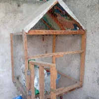 یک عدد قفس دست ساز در خدمت شما|لوازم جانبی حیوانات|مشهد, تلگرد|دیوار