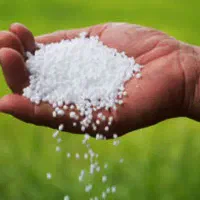 کود سفید دانه ریز خراسان