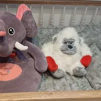 عروسک|اسباب‌بازی بچه|اصفهان, مهدی آباد|دیوار