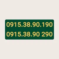 0915.38.90.290