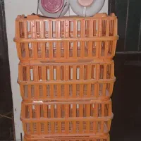 سبد حیوانات مرغ