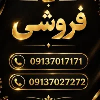 تک جفت ایران