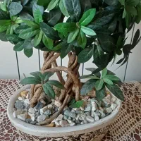 گل بن سای مصنوعی