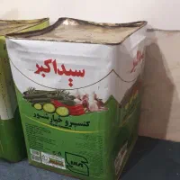 خرما ی کبکاب درجه یک اهرم