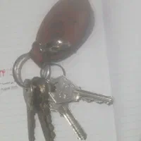 دسته کلید مشابه همین گم شده