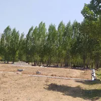 شمال چالوس زمین فروشی (روستایی کینج )
