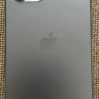 فروش فوری ۱۲ پرومکس ۲۵۶ گیگ پک اصلی کارکرد