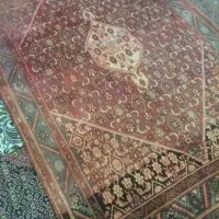 فرش دستبافت|فرش|زنجان, |دیوار