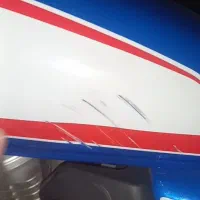 گم شده نیکتاز ۲۰۰|اشیا|تبریز, |دیوار