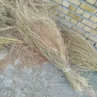 جارو محلی