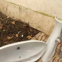 روشویی درحد تمیز