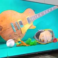 تلویزیون هایسنس 55 نو