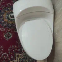 توالت فرنگی دو خروجی