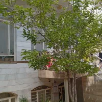 اجاره منزل ویلایی