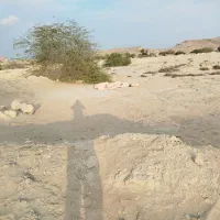 فروش-زمین-خونه-باغی-گیاهدان