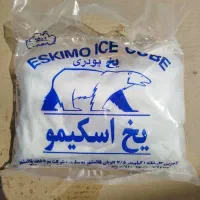 یخ بلوکی ، یخ بسته بندی و یخ پودری   اسکیمو