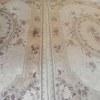 فرش|فرش|تهران, هلال احمر|دیوار