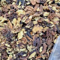 گردو فسنجانی