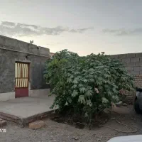 خانه-50-متری