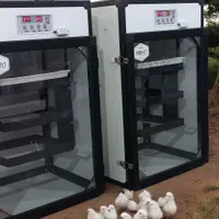 دستگاه جوجه کشی 126 تایی آژاکس اسکندری