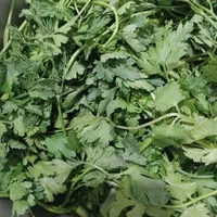 سمبوسه سیبزمینی و پیتزایی|خوردنی و آشامیدنی|یزد, |دیوار