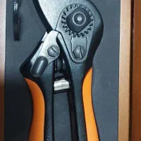 درخت چین  ژاپنی  پیسوله برقی   کارواش