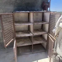 قفس کبوتر جفتگاه