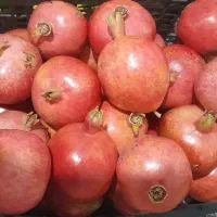 انار میخوام