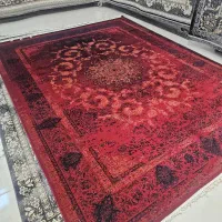 فرش  قسطی بدون چک و ضامن|فرش|رشت, معلولین|دیوار