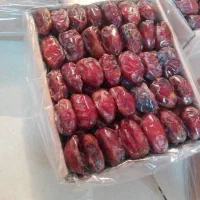خرما جنوب