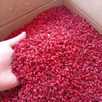 زرشک اعلا عمده مستقیم از باغدار تضمین مرجوع وجه