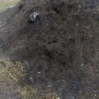 فروش کود حیوانی خاک برگ خاک باغچه و...|خدمات باغبانی و درختکاری|لنگرود, |دیوار