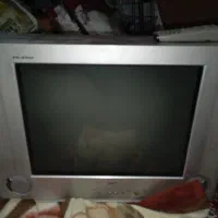 تلویزیون 29اینچ‌ سامسونگ|تلویزیون و پروژکتور|شیراز, شهرک فرهنگیان|دیوار