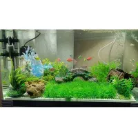 فروش آکواریوم درجه ۱ با تجهیزات کامل|ماهی|فسا, |دیوار