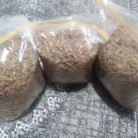 غذا خشک سگ بالغ نژاد کوچک