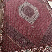 فرش طرح افشار