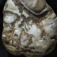 سنگ|جواهرات|تهران, شهرآرا|دیوار