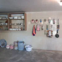 دکوری عسل|ظروف سرو و پذیرایی|تهران, دانشگاه شریف|دیوار