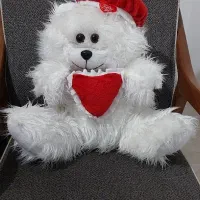 خرس بزرگ ولنتاین، عروسک های زیبا، آویز عشق