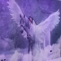 کناف پرده کاغذ دیواری پرده|عمده‌فروشی|شیراز, شهرک پرواز|دیوار